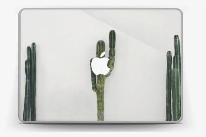 Mexican Cactus Skin Macbook Pro 13”, HD Png Download, Free Download