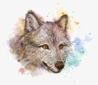 Gray Watercolor Painting Fox, HD Png Download, Free Download