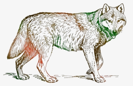 Tribal Wolf Png Transparent Images, Png Download, Free Download