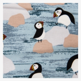 Cotton Jersey Printed Penguins Lines Light Blue, HD Png Download, Free Download