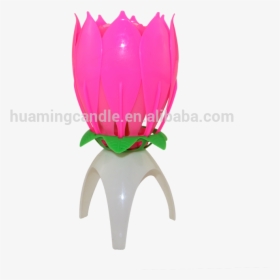 Funny Lotus Flower Shape Singing Music Candle, HD Png Download, Free Download