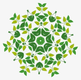 Flora,leaf,symmetry, HD Png Download, Free Download
