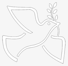 Dove With Olive Branch Png, Transparent Png, Free Download