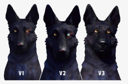 Dogmeat Png, Transparent Png, Free Download