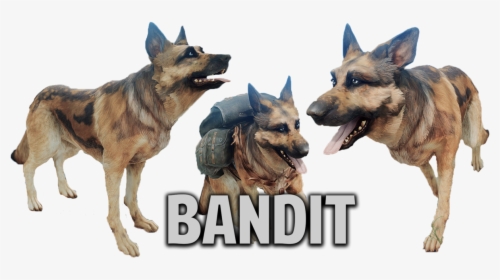 Dogmeat Png, Transparent Png, Free Download