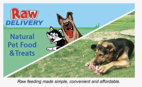 Dogmeat Png, Transparent Png, Free Download