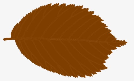 Leaf, Brown, Fall, Autumn, Beech, HD Png Download, Free Download