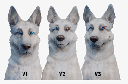 Dogmeat Png, Transparent Png, Free Download