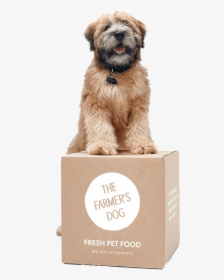 Dogmeat Png, Transparent Png, Free Download