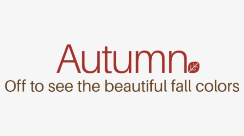 Fall Leave Png, Transparent Png, Free Download