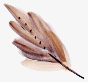 Watercolor Feather Png, Transparent Png, Free Download