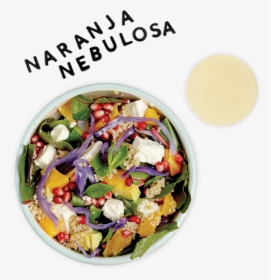 5 Naranjanebulosa Web, HD Png Download, Free Download