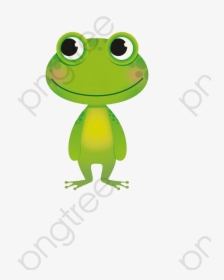 Transparent Frog Png, Png Download, Free Download
