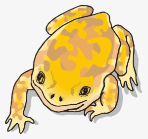 Jungle Clipart Frog, HD Png Download, Free Download