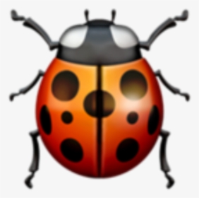 #freetoedit #red #black #ladybug #cute, HD Png Download, Free Download