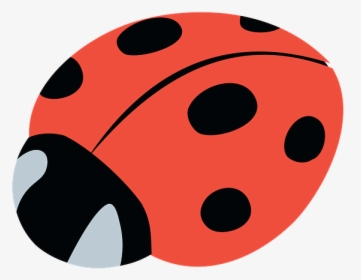 Insect, Ladybug, Beetle, Nature, Ladybird, Bug, Red, HD Png Download, Free Download