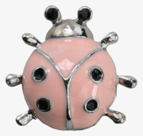 Cute Ladybug Png, Transparent Png, Free Download