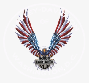 Usa Eagle Png, Transparent Png, Free Download