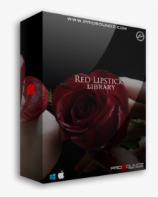 Image, HD Png Download, Free Download