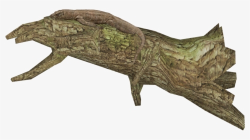 Transparent Komodo Dragon Png - Alligator Lizard, Png Download, Free Download