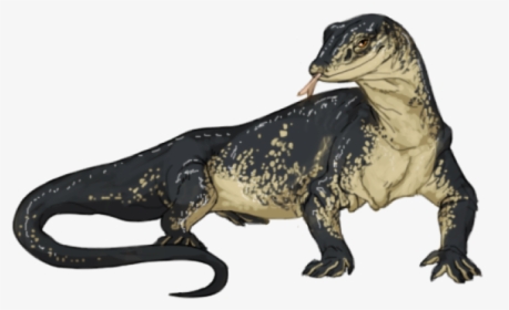 Komodo Dragon Png Transparent Images - Monitor Lizard Transparent Background, Png Download, Free Download