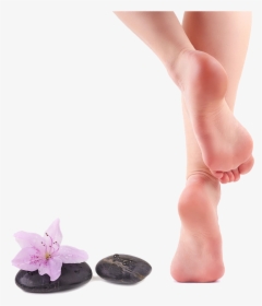 Callus Cleanser Pedicure Hair Removal Foot - Foot Beauty, HD Png Download, Free Download