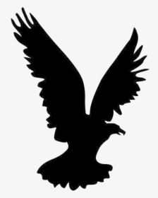 Eagle White Tailed Clipart Angry Free On Transparent - Eagle Silhouette Hd Png, Png Download, Free Download