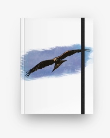 Caderno Watercolor Predator De Felipe Gomesna - Golden Eagle, HD Png Download, Free Download