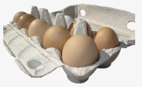 Egg, Hen"s Egg, Egg Carton, Lots Of Eggs, Egg Packaging - Come Conservare Le Uova, HD Png Download, Free Download