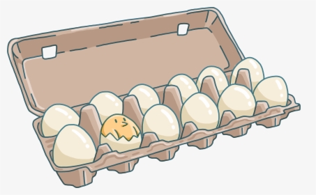 Egg Carton Png, Transparent Png, Free Download