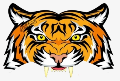 Transparent Irish Hat Png - Tiger Face Colour Drawing, Png Download, Free Download