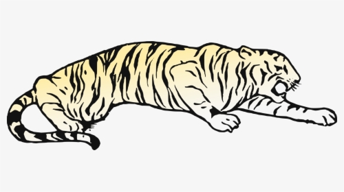 Whiskers Cat Golden Tiger Bear Bengal Tiger - Tiger Pouncing Coloring Pages, HD Png Download, Free Download
