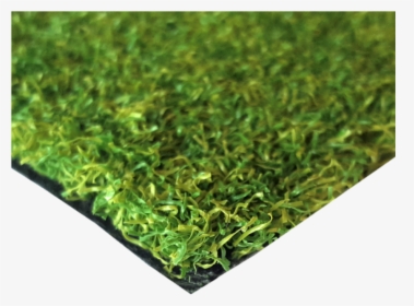 Transparent Ground Cover Png - Lawn, Png Download, Free Download