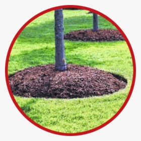 Mulching Services - Diy Idea Around Tree, HD Png Download, Free Download
