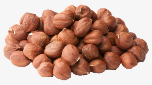 Hazelnut - Semi Perishable Foods Example, HD Png Download, Free Download