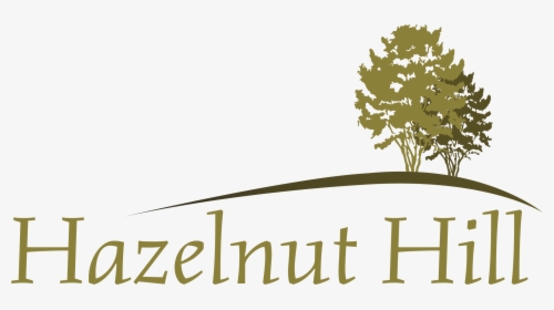 Hazelnut Hill - Tree, HD Png Download, Free Download