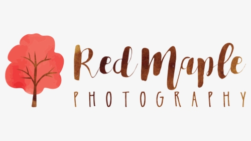 Red Maple Photography - Calligraphy, HD Png Download, Free Download