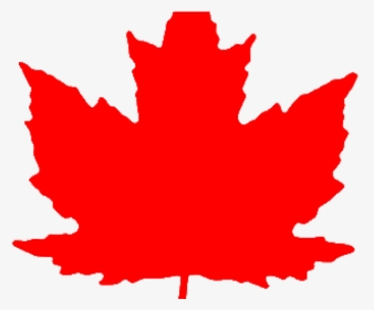 Drawn Maple Leaf Red Leaf - Transparent Canada Maple Leaf, HD Png Download, Free Download