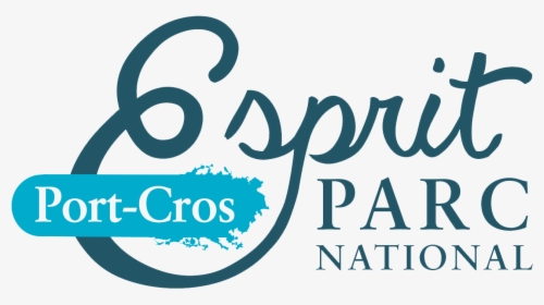 Esprit Parc National Port Cros Transparent - Piazza Del Campo, HD Png Download, Free Download