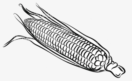 Corn Clipart Easy Draw Transparent Clip Arts And Png - Sweet Corn Black And White, Png Download, Free Download