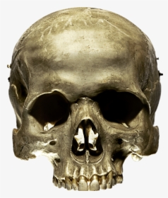 #skull #spooky #skeleton #creepy #halloween - D&d Skull, HD Png Download, Free Download