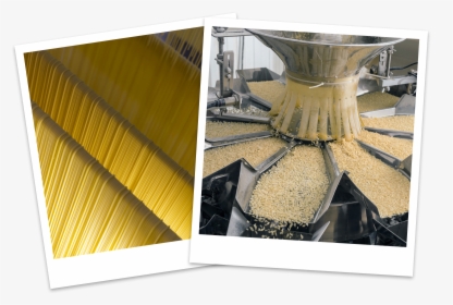 Transparent Poloroid Png - Extraction In Food Industry, Png Download, Free Download