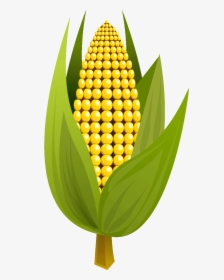 Transparent Corn Clipart Png - Corn Clipart, Png Download, Free Download