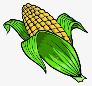 Corn Hd Clip Art Pictures Vector Graphics Clipart Transparent - Corn Clip Art, HD Png Download, Free Download