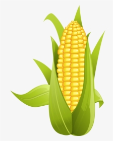 Image Transparent Library Kernel Clipart Yellow Corn - Corn On The Cob Art Png, Png Download, Free Download