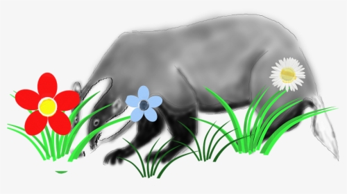Badger Animal Forest - Daisy, HD Png Download, Free Download