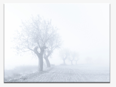 Foggy Sunday - Mist, HD Png Download, Free Download