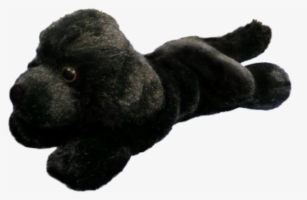 Black Dog Stuffed Animal Png, Transparent Png, Free Download