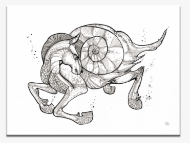 Sea Horse - Sketch, HD Png Download, Free Download