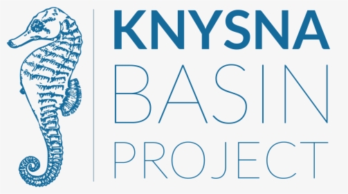 Knysna Basin Project, HD Png Download, Free Download